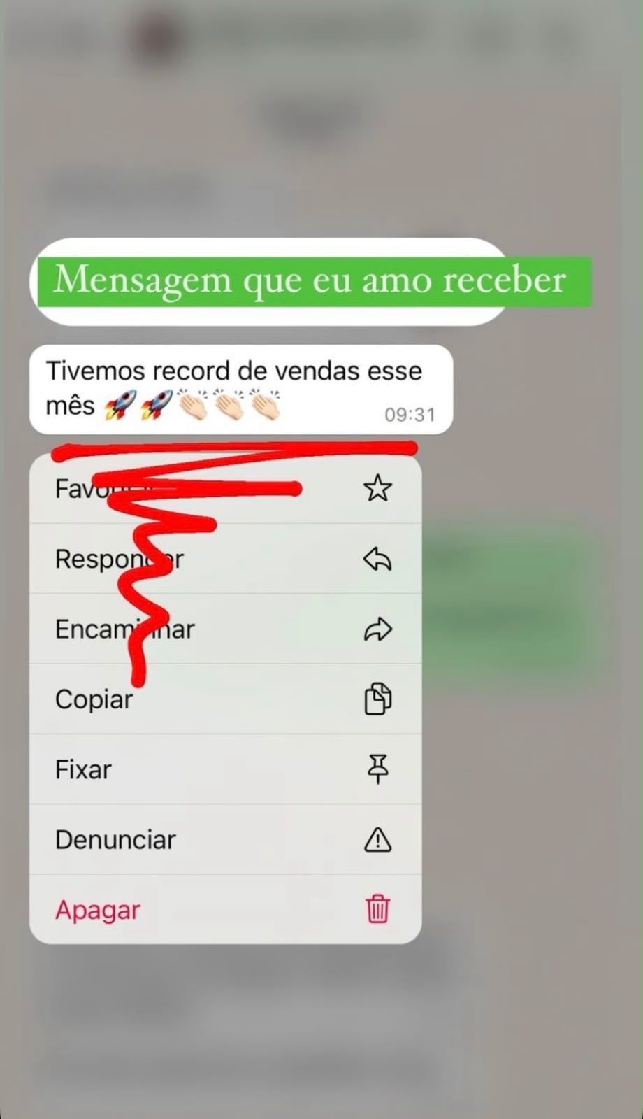 Feedback anonimizado elogiando resultados de campanhas e conversões em vendas